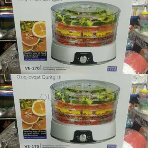 Electric Food Steamer