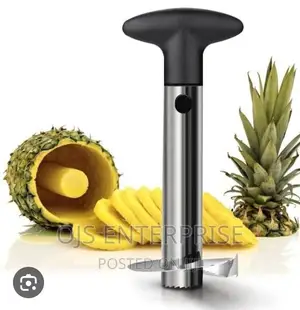 Stainless Steel Pineapple Corer
