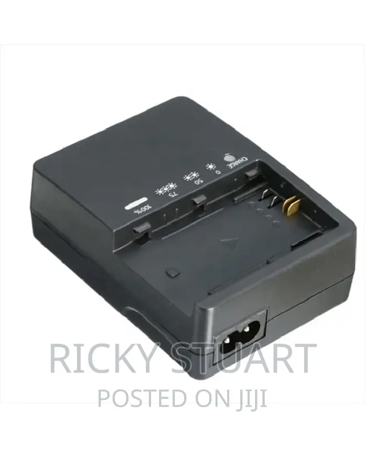 High Quality E6 Battery Charger for Canon 60D,6D,5D,70D,80D