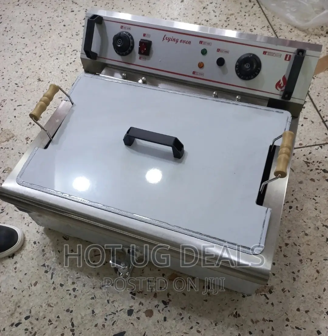 20l Commercial Electric Fish Deep Fryer - Silver