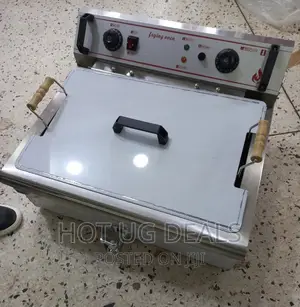 20l Commercial Electric Fish Deep Fryer - Silver