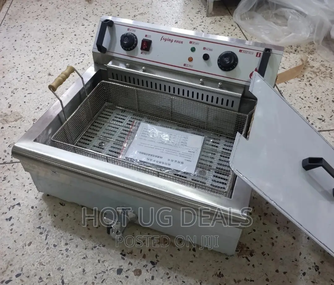 20l Commercial Electric Fish Deep Fryer - Silver