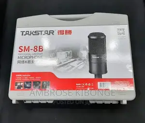 High Quality TAKSTAR SM-8B Condenser Recording Microphone.