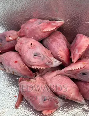 Photo - Chicken Heads for Dogs