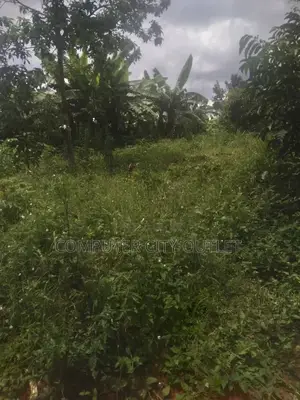 Photo - Land for Sale