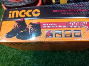 Safely Shoes INGCO 41 Size