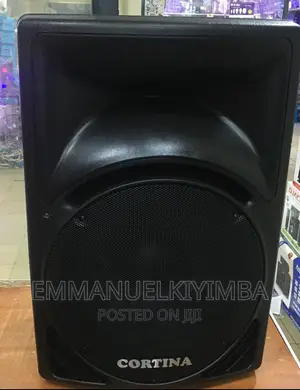 15inch Top Speaker