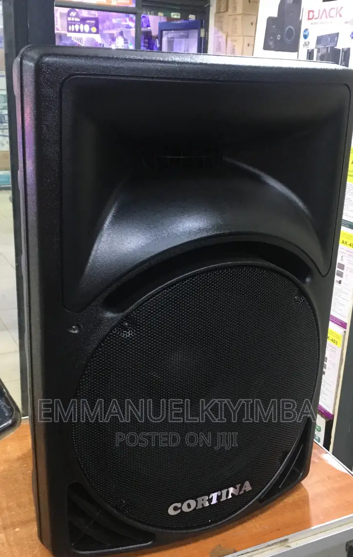 15inch Top Speaker