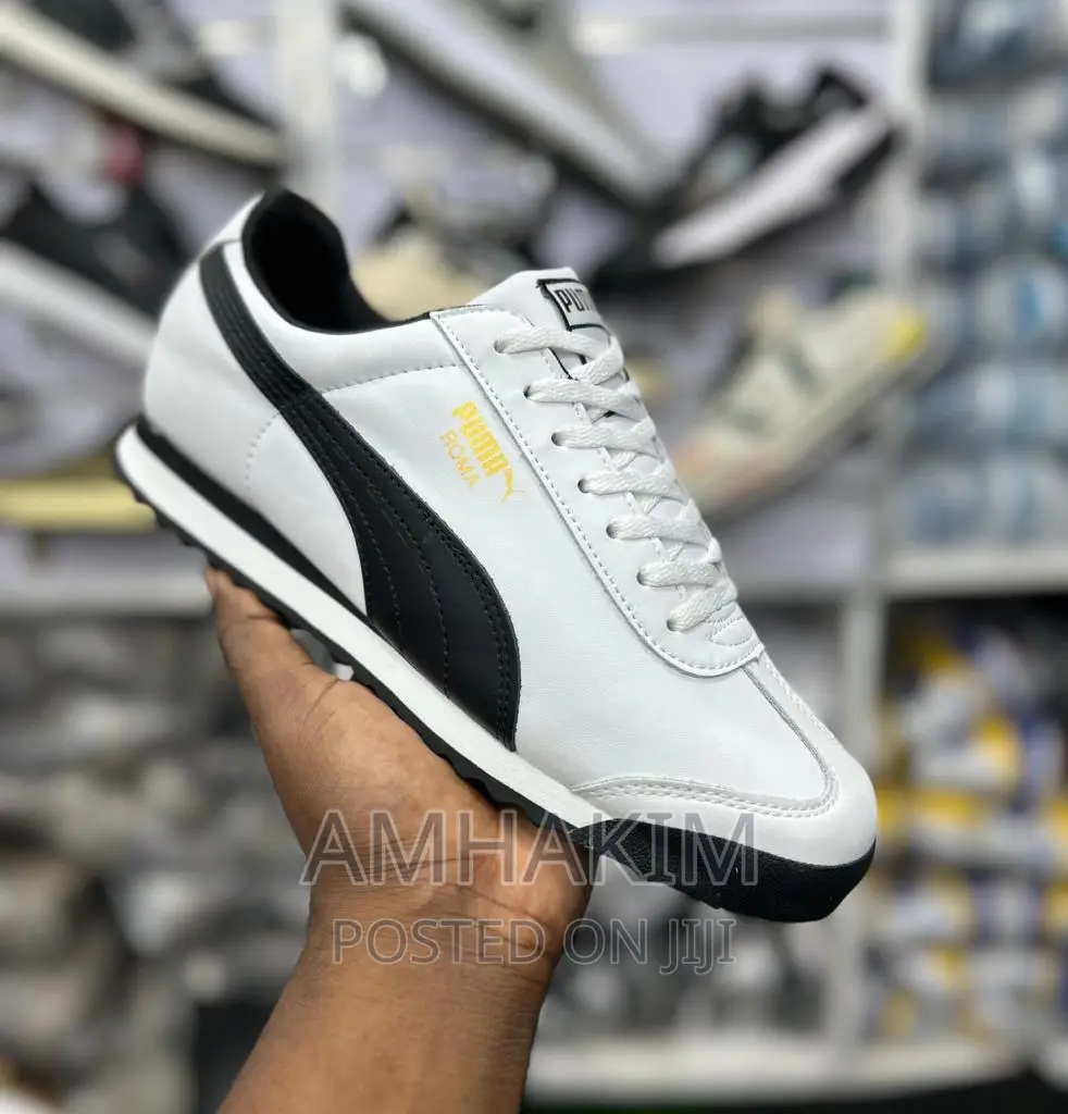 New Puma Roman Basic in Stock