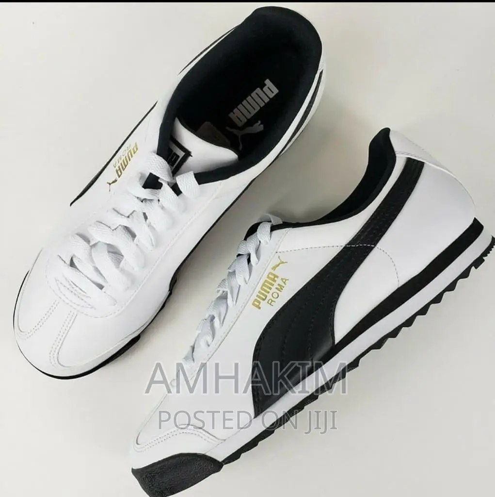 New Puma Roman Basic in Stock