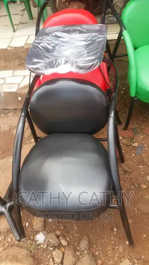 Photo - Women's Saloon Chair With Sink
