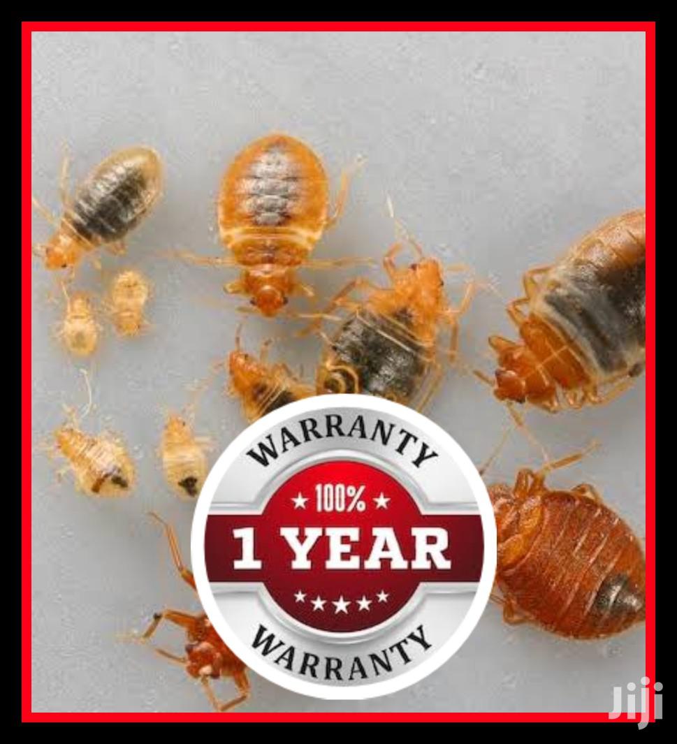 No Smell Bedbug 1yr Guarantee Fumigation