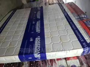 Rose Foam Smart Premium 6*5*6.Inches