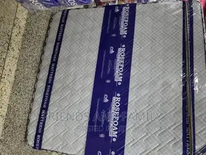 Spring Mattress in Rose Foam 6*5*10.Inches