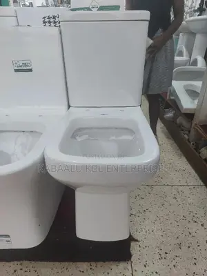 Good Quality Toilet Complete Set(Frencia)