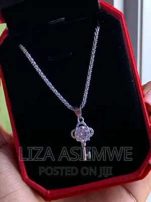 Simple Lady’S Necklaces Available