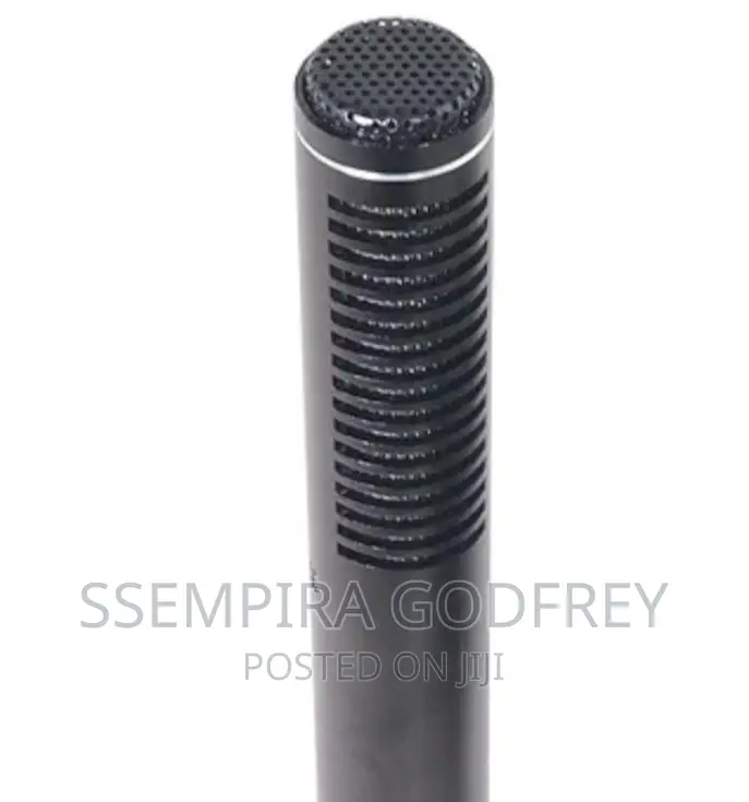 Condenser Boom Panasonic Microphones