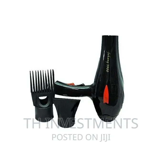 Fakang Hair Dryer/ Blower