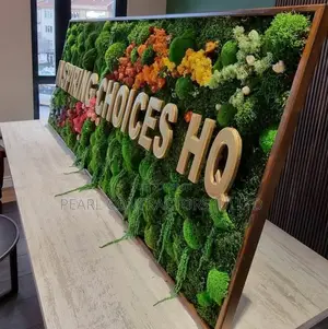 Living Wall Installation And Decor