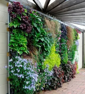 Living Wall Installation And Decor