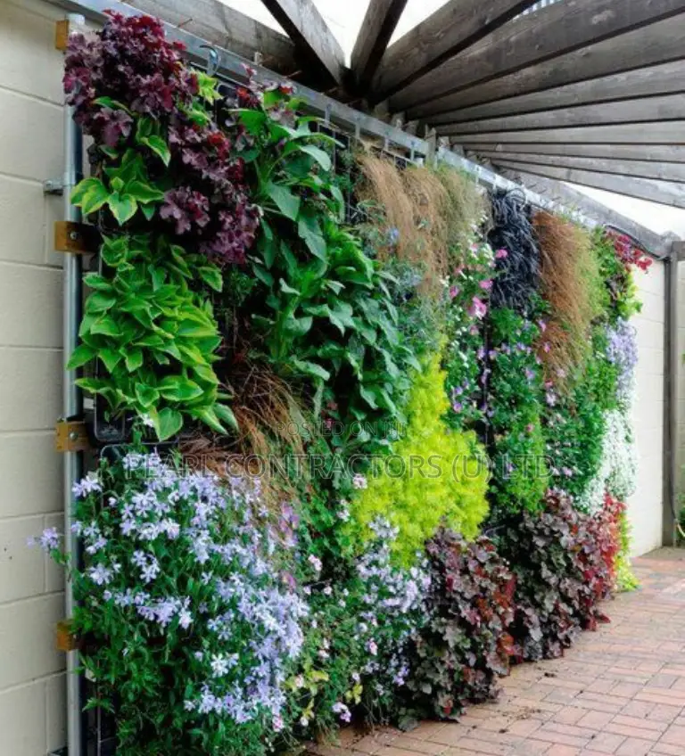 Living Wall Installation And Decor