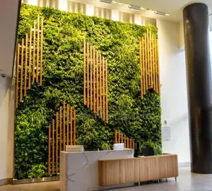 Living Wall Installation And Decor