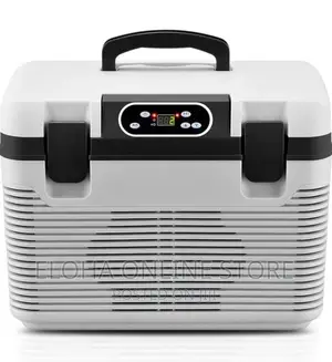 Car Cooler Refrigerator - Silver