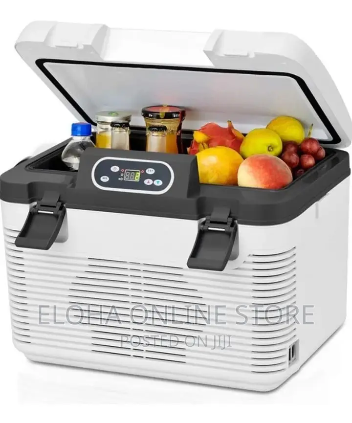 Car Cooler Refrigerator - Silver