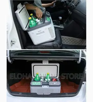 Car Cooler Refrigerator - Silver