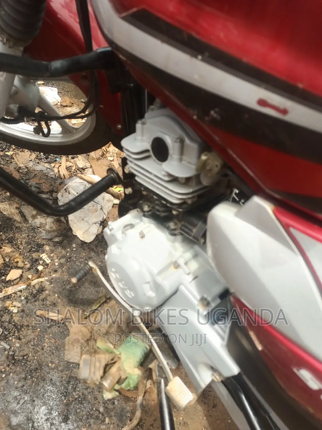 TVS HLX 125 2023 Red