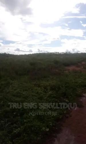 120 Acres for Sale in Buyende
