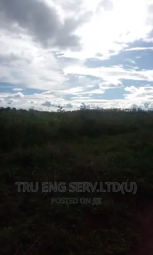 120 Acres for Sale in Buyende