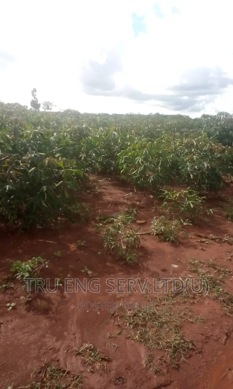 120 Acres for Sale in Buyende
