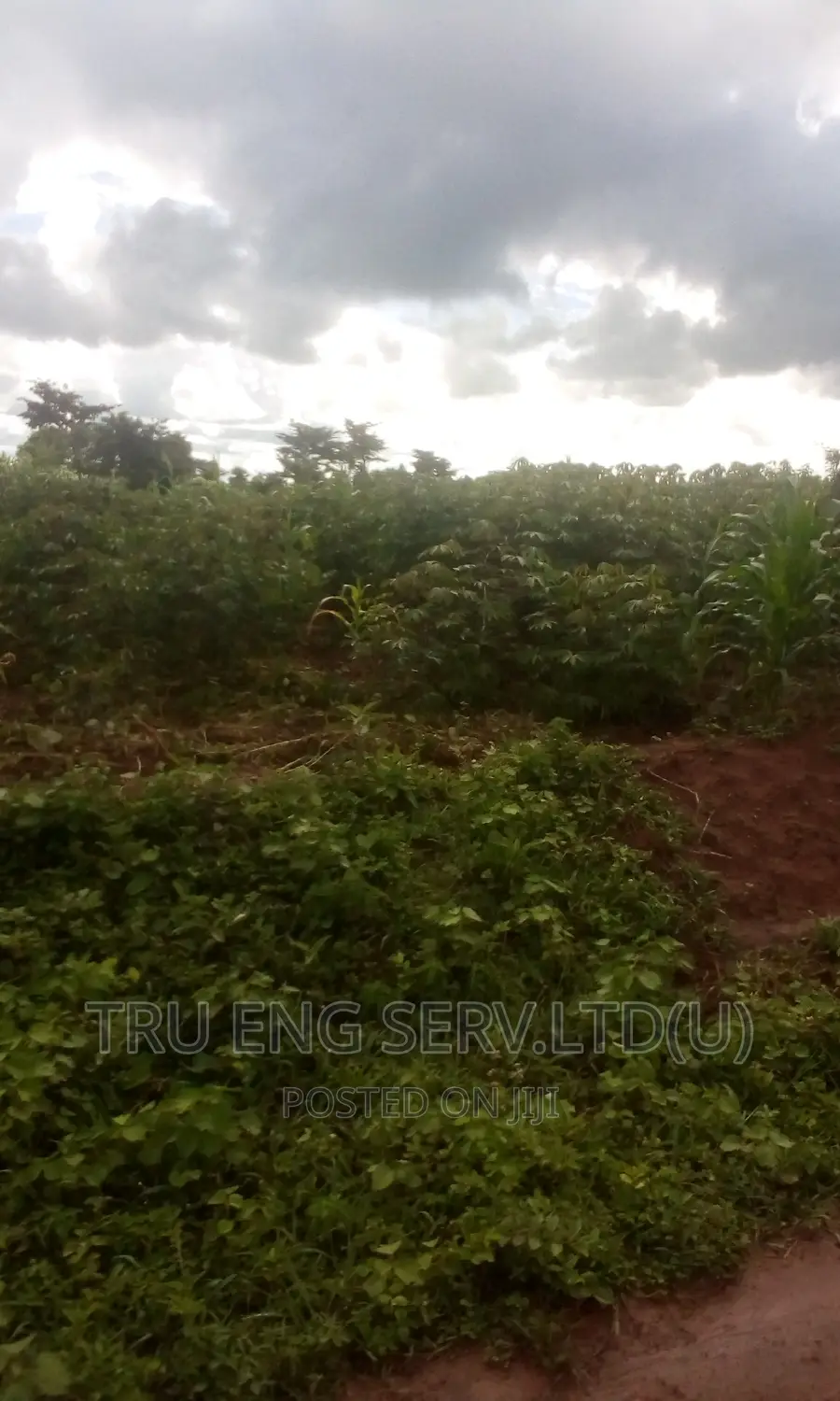 105 Acres With a Land Title for Sale in Kamuli Land & Plots for Sale