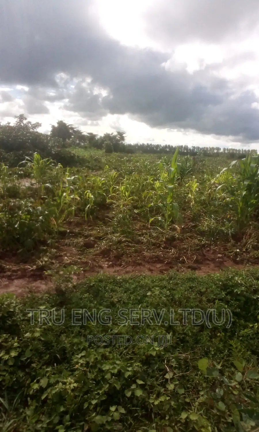 105 Acres With a Land Title for Sale in Kamuli Land & Plots for Sale