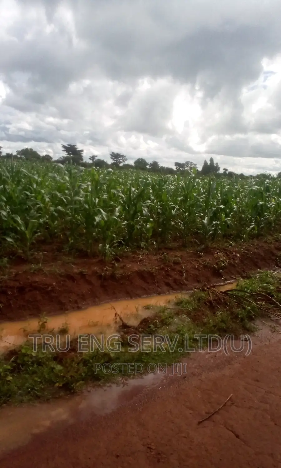 105 Acres With a Land Title for Sale in Kamuli Land & Plots for Sale