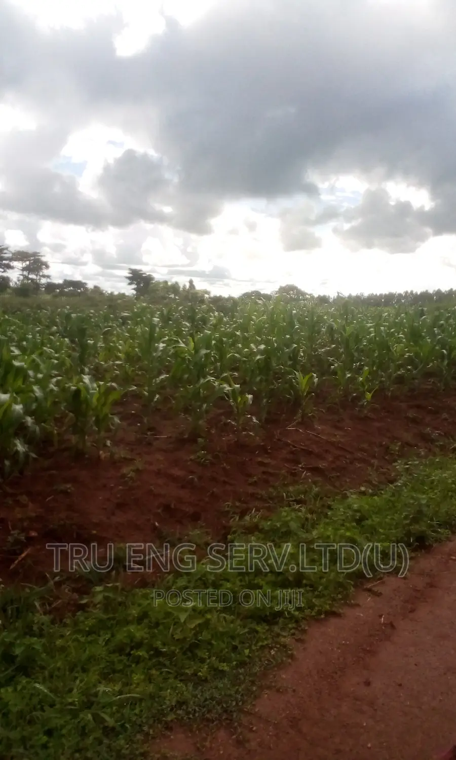 105 Acres With a Land Title for Sale in Kamuli Land & Plots for Sale