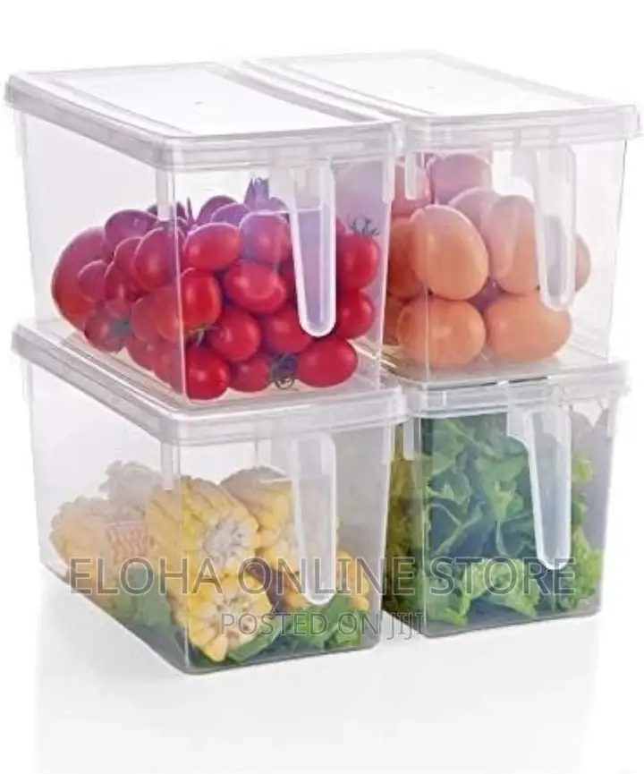 Transparent Refrigerator Food Storage Containers