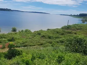 Prime Land Measurig Direct From Lake Onsale Nkumba Ntebe Rd