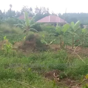 Affordable Titled Plot Sale Kiwebwa Along Matuga Semuto Rd