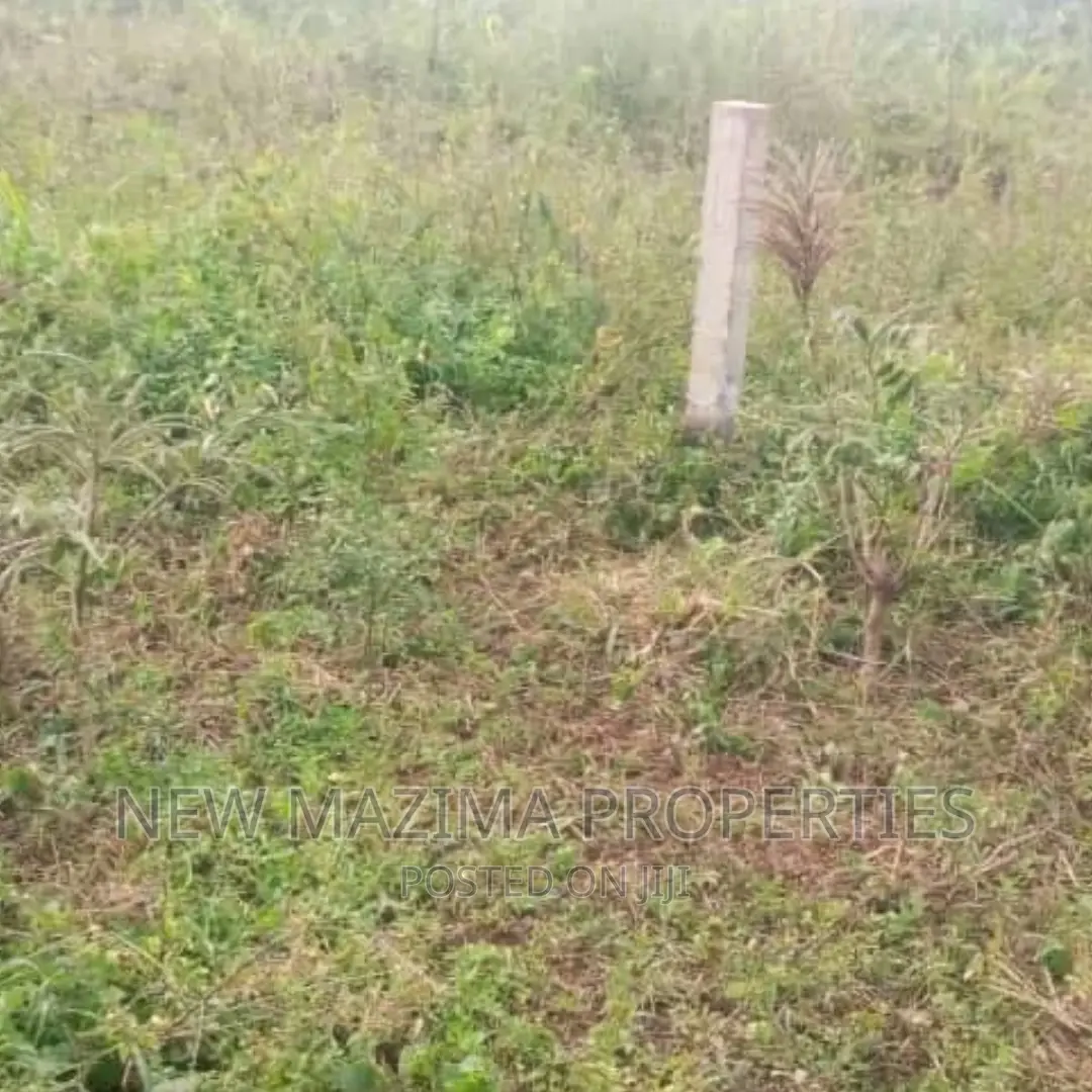 Affordable Titled Plot Sale Kiwebwa Along Matuga Semuto Rd