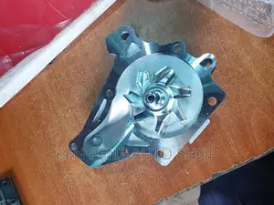 Water Pump Nadia, Premio and Ipsum