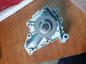 Water Pump Nadia, Premio and Ipsum