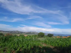 25decimal With Clear Lake View Sale Heart of Kajjansi Bweya