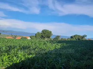 25decimal With Clear Lake View Sale Heart of Kajjansi Bweya