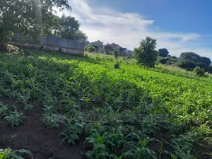 25decimal With Clear Lake View Sale Heart of Kajjansi Bweya