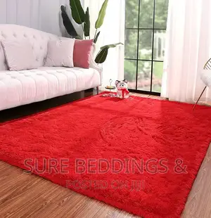 Modern Fluffy Carpet