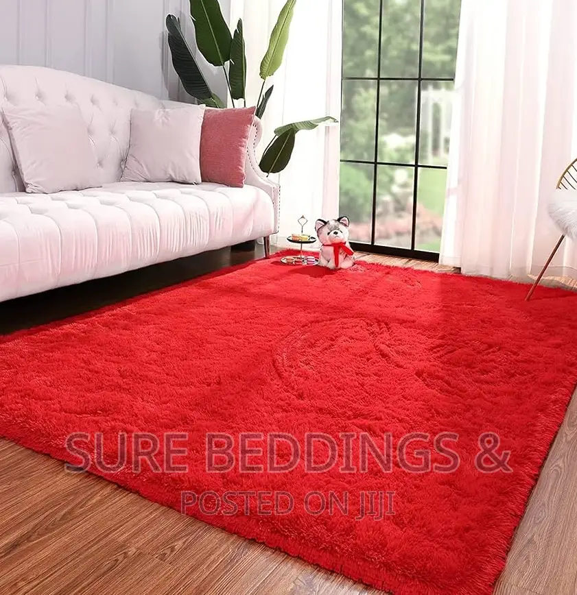 Modern Fluffy Carpet