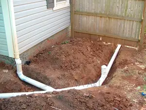 Professional Plumber
