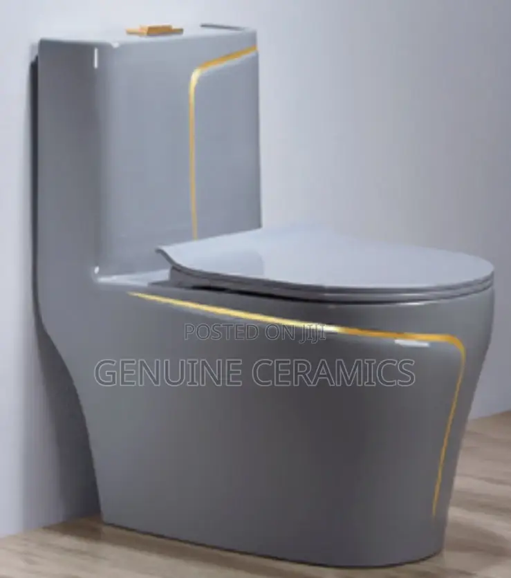 Grey Combined Toilet